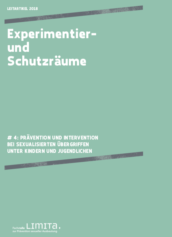 Experimentier Und Schutzräume Prävention Und Intervention Bei Sexualisierten Übergriffen 5231